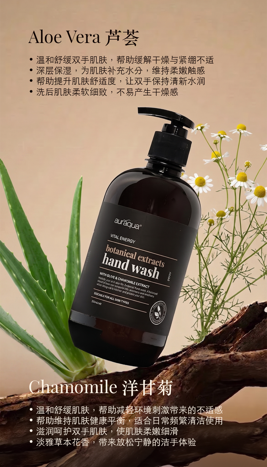 AQ_HandWash03